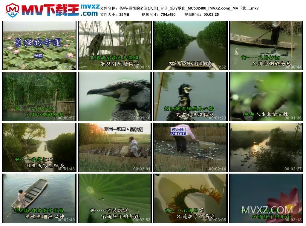 杨鸣-男性的命运(风景)_台语_流行歌曲_MC502486